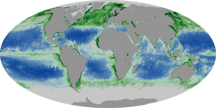 Global Map Chlorophyll Image 167