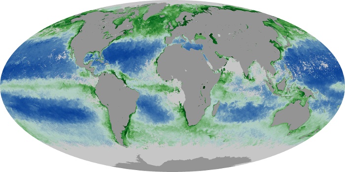 Global Map Chlorophyll Image 170