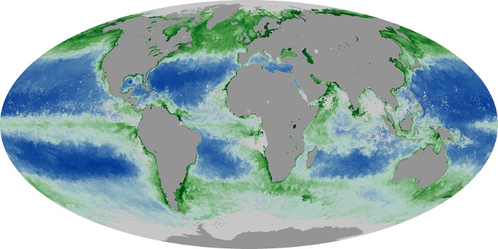 Global Map Chlorophyll Image 171