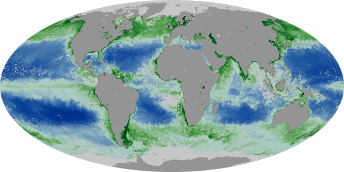 Global Map Chlorophyll Image 172