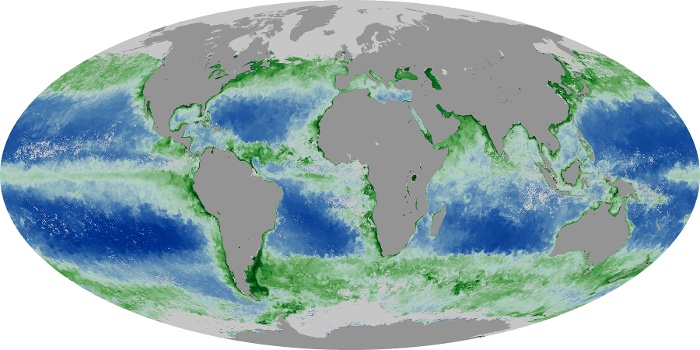 Global Map Chlorophyll Image 173