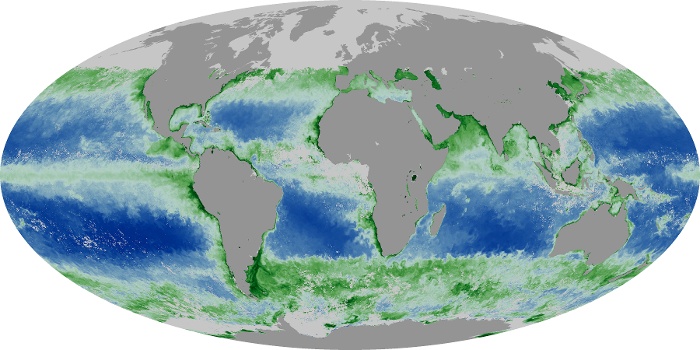 Global Map Chlorophyll Image 174