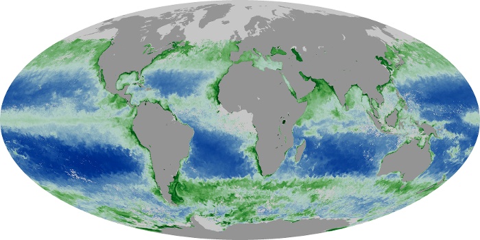 Global Map Chlorophyll Image 175