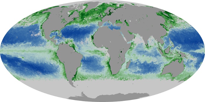 Global Map Chlorophyll Image 180
