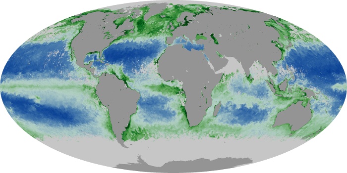 Global Map Chlorophyll Image 181