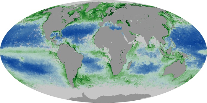 Global Map Chlorophyll Image 182