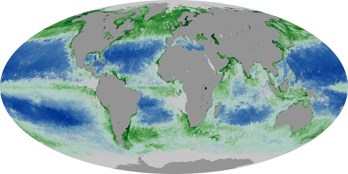 Global Map Chlorophyll Image 183