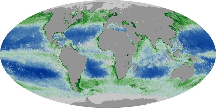 Global Map Chlorophyll Image 184