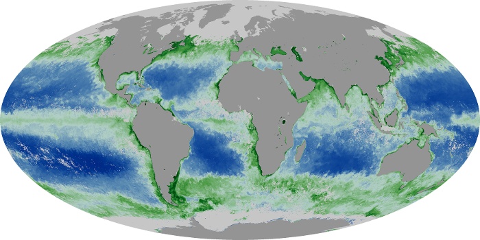 Global Map Chlorophyll Image 185