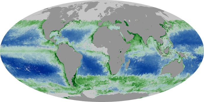 Global Map Chlorophyll Image 186
