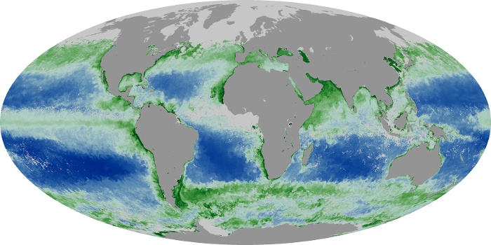 Global Map Chlorophyll Image 187