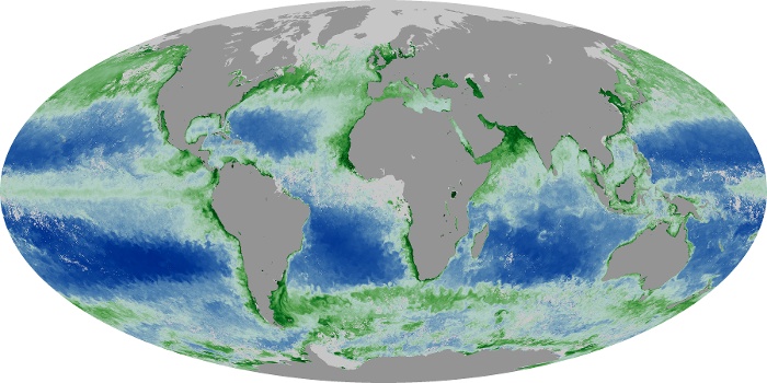 Global Map Chlorophyll Image 188
