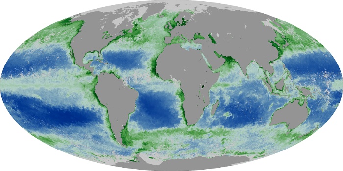 Global Map Chlorophyll Image 189
