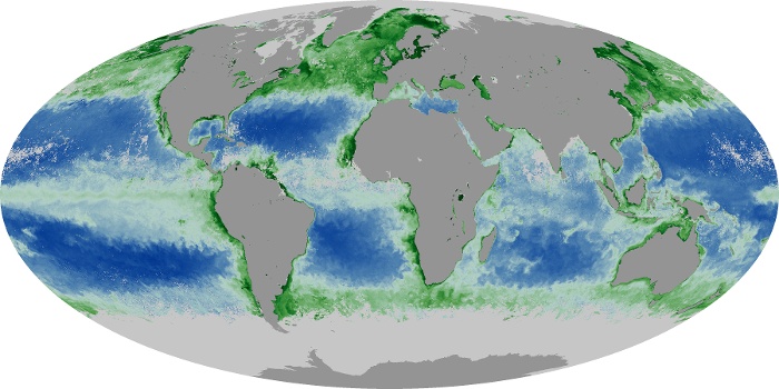 Global Map Chlorophyll Image 191