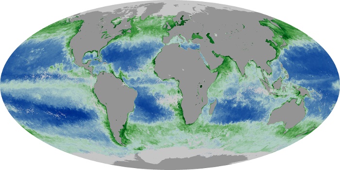 Global Map Chlorophyll Image 196