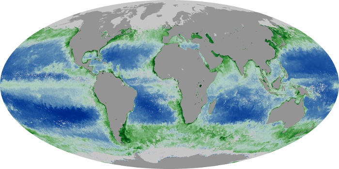 Global Map Chlorophyll Image 197