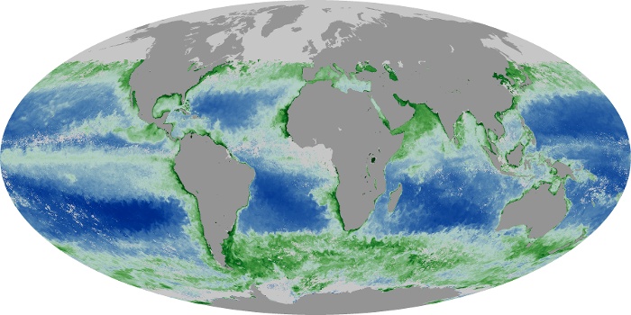 Global Map Chlorophyll Image 198