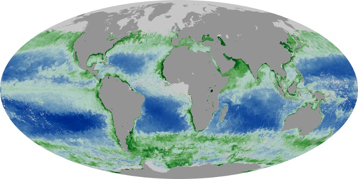 Global Map Chlorophyll Image 199