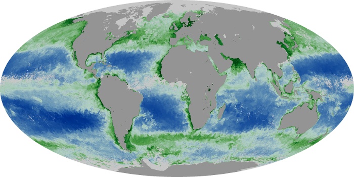 Global Map Chlorophyll Image 201