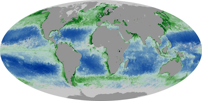 Global Map Chlorophyll Image 202
