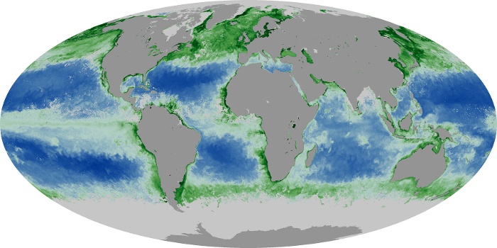 Global Map Chlorophyll Image 203