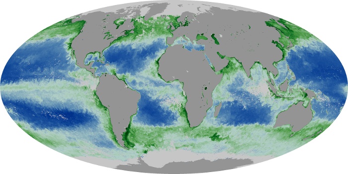 Global Map Chlorophyll Image 208