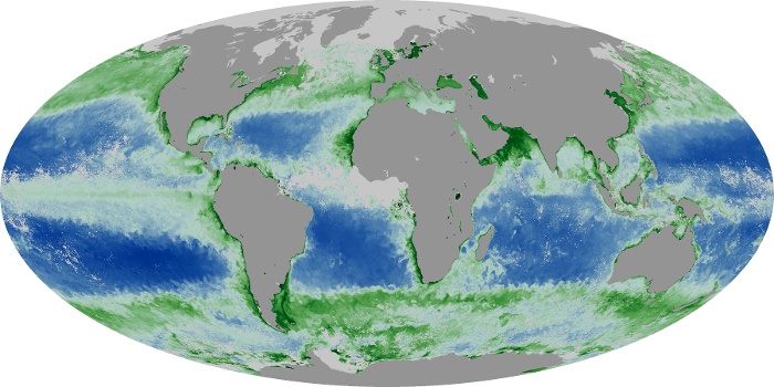 Global Map Chlorophyll Image 212