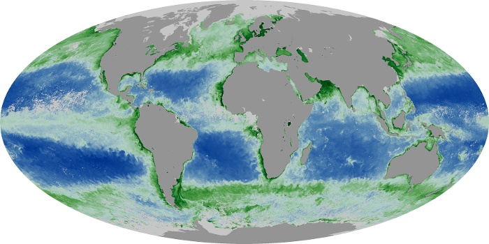 Global Map Chlorophyll Image 213