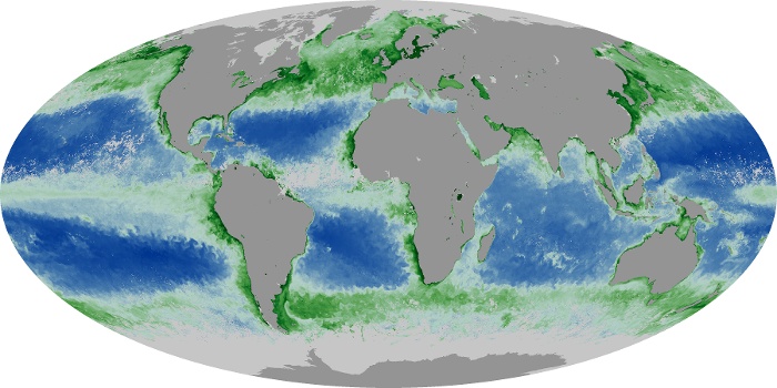 Global Map Chlorophyll Image 214