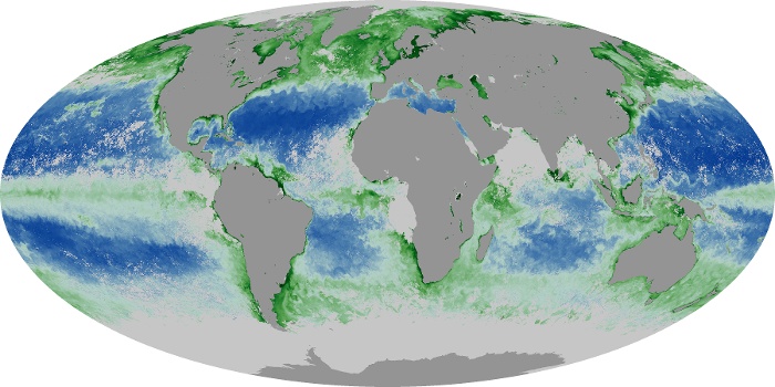 Global Map Chlorophyll Image 218