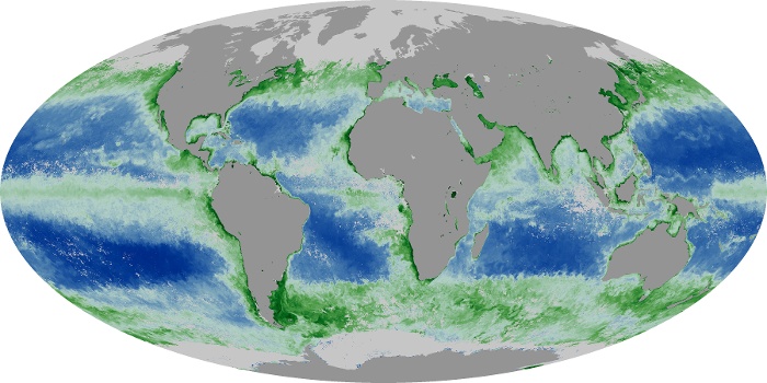 Global Map Chlorophyll Image 221