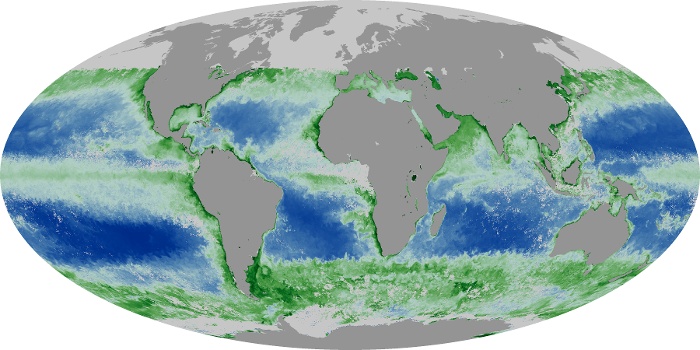 Global Map Chlorophyll Image 222