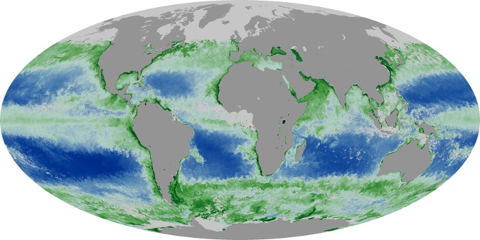 Global Map Chlorophyll Image 223