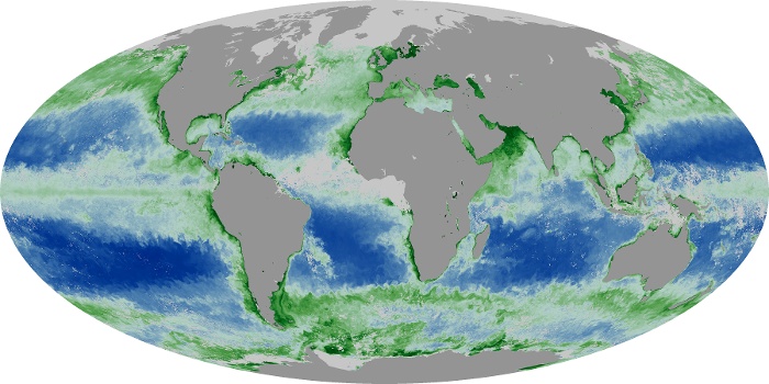 Global Map Chlorophyll Image 224