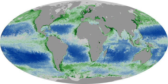 Global Map Chlorophyll Image 225
