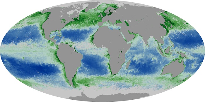 Global Map Chlorophyll Image 226
