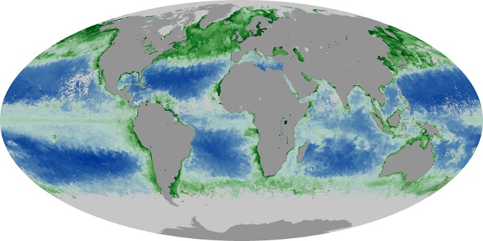 Global Map Chlorophyll Image 227