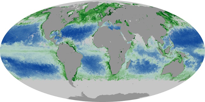 Global Map Chlorophyll Image 228