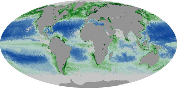 Global Map Chlorophyll Image 230