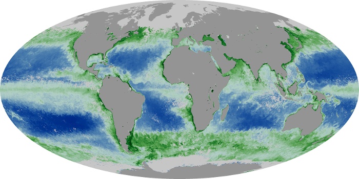 Global Map Chlorophyll Image 233