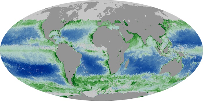 Global Map Chlorophyll Image 234
