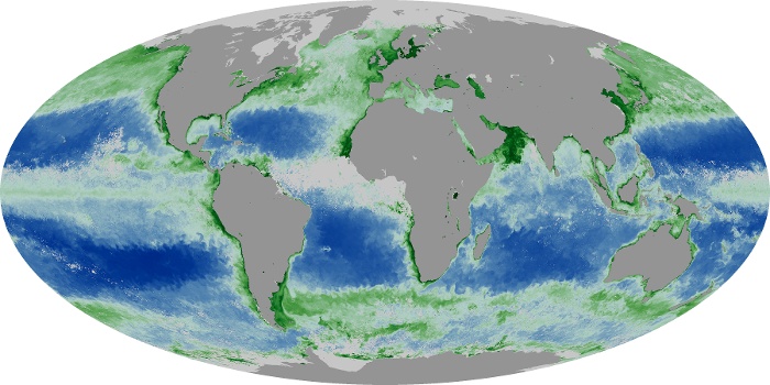 Global Map Chlorophyll Image 237