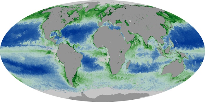 Global Map Chlorophyll Image 243