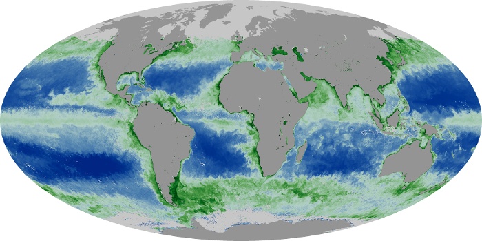 Global Map Chlorophyll Image 245