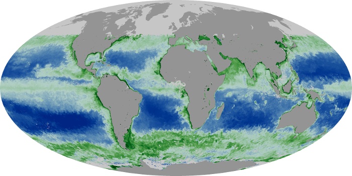 Global Map Chlorophyll Image 246