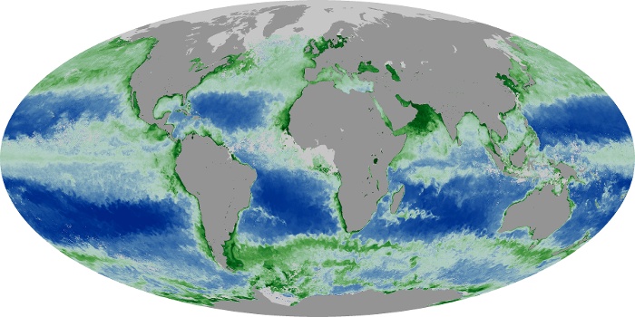 Global Map Chlorophyll Image 248