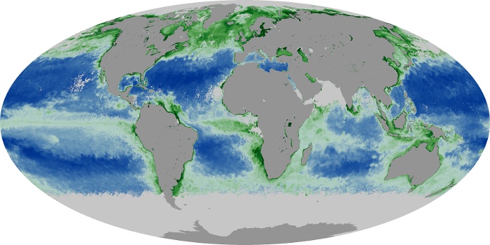 Global Map Chlorophyll Image 253