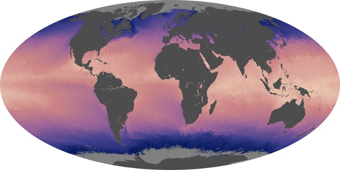 Global Map Sea Surface Temperature Image 137