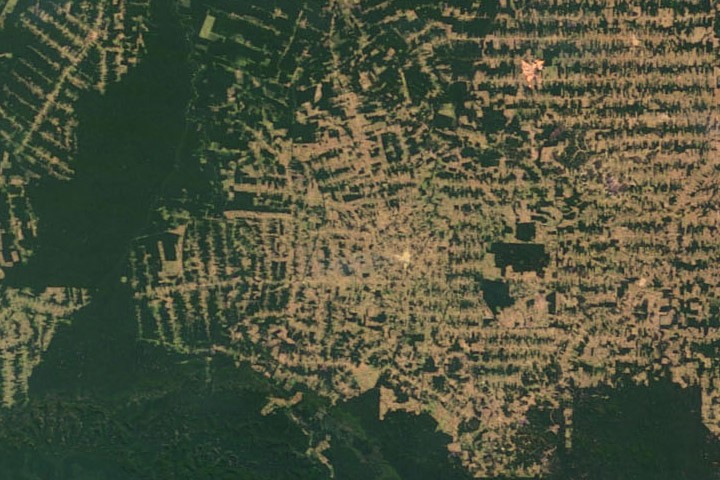 World of Change: Amazon Deforestation - NASA Science