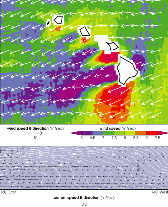 Hawaiian Islands’ Wake
